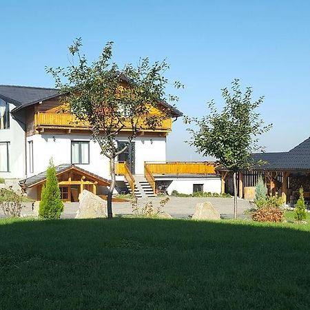 Villa Swiss Sacele Exterior photo