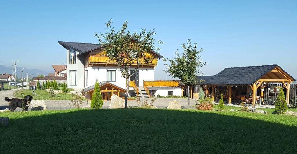 Villa Swiss Sacele Exterior photo