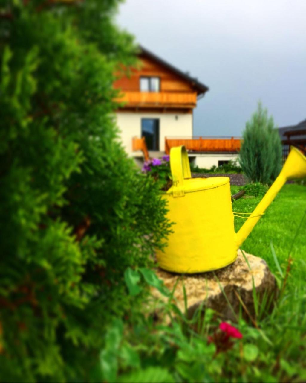 Villa Swiss Sacele Exterior photo
