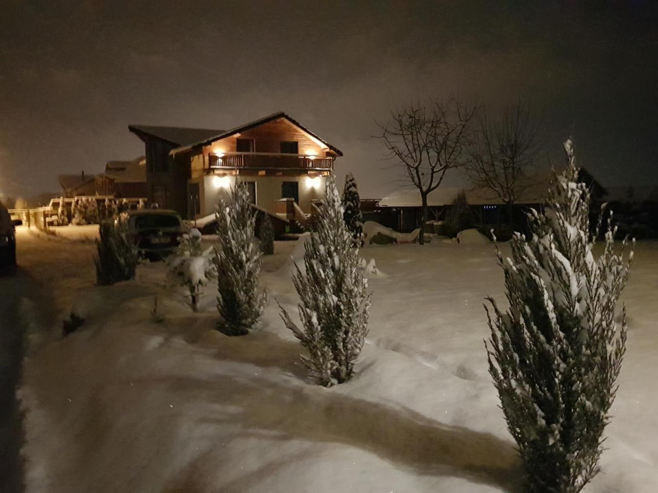Villa Swiss Sacele Exterior photo